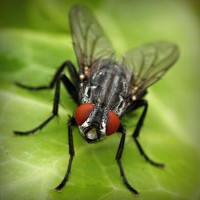 /album/teconmemo/photolia-a01-jpg/