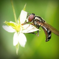 /album/teconmemo/photolia-a02-jpg/