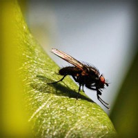 /album/teconmemo/photolia-a04-jpg/