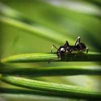 /album/teconmemo/photolia-a05-jpg/