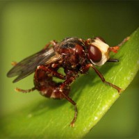 /album/teconmemo/photolia-a06-jpg/
