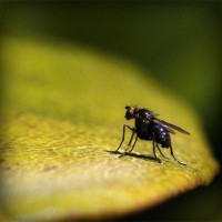 /album/teconmemo/photolia-a07-jpg/