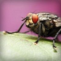 /album/teconmemo/photolia-a08-jpg/